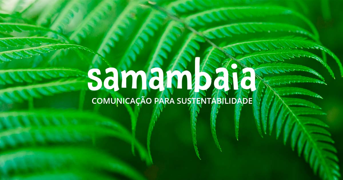 Samambaia